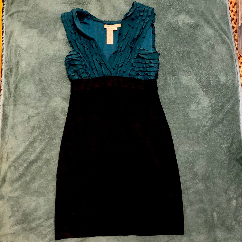 Max Studio dress